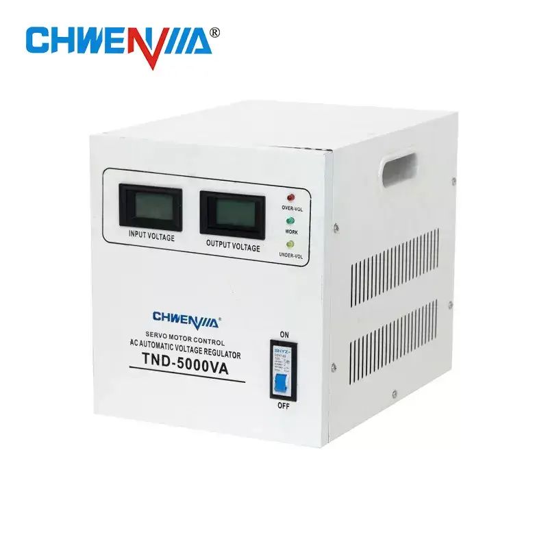 Leading Single Phase Voltage Stabilizer Manufacturers in China You Should Know